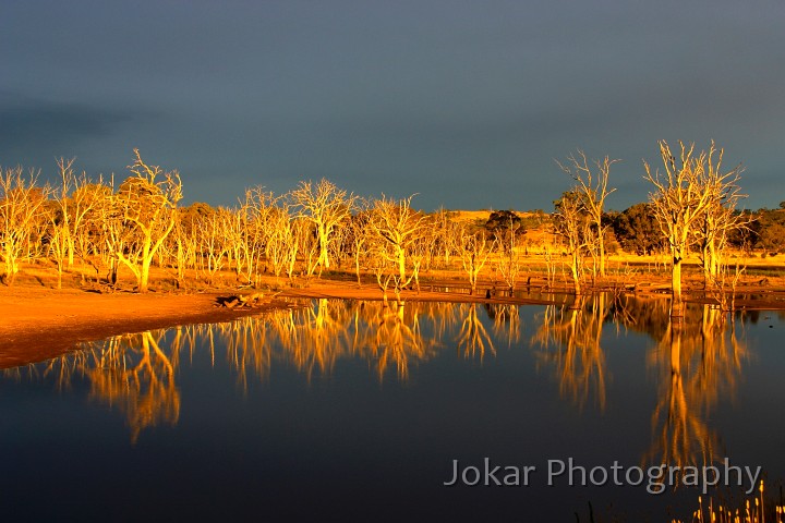 Mullligans Flat 0036.jpg - Magic sunset light at Mulligans Flat, ACT